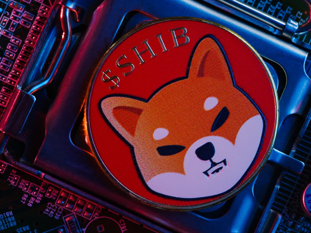 Shiba Inu Developer Confirms LEASH V2 Migration Launch Within Days