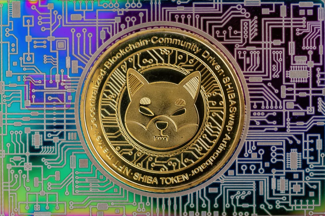 Shiba Inu Risks Losing Meme Coin Ranking to Pepe