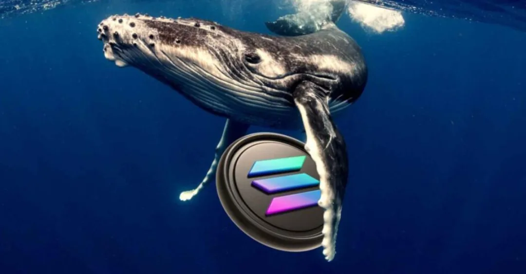 Solana Whales: Driving Market Trends and Price Movements