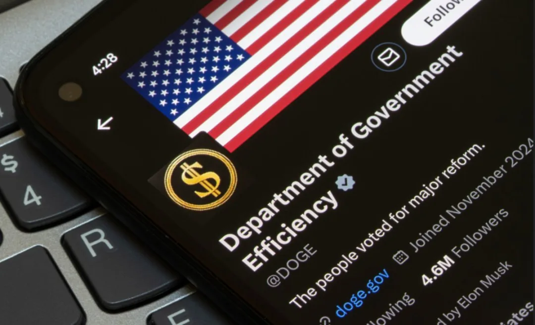 DOGE Government: The Department of Government Efficiency