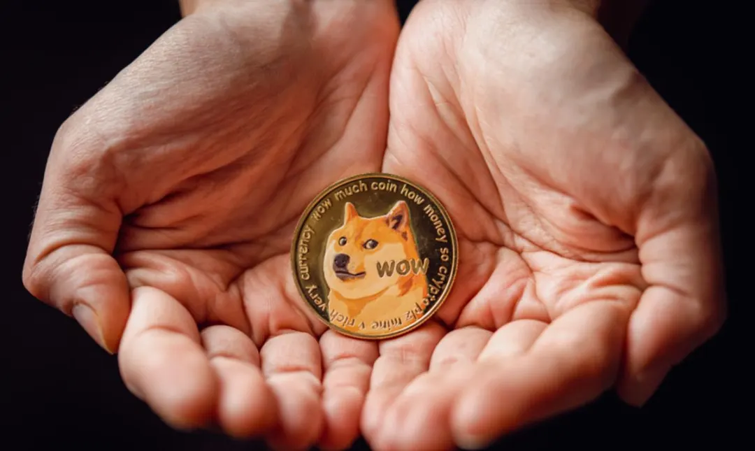 How Many Dogecoin Holders are There?