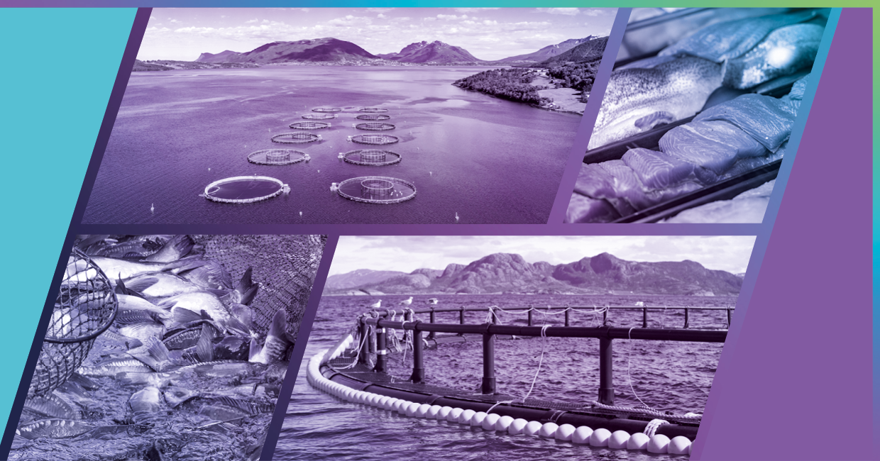 Midlertidig kollasj av teknologibilder