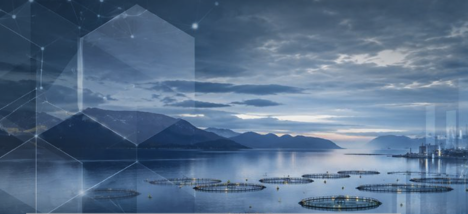 Fredagsforum: Digital transformasjon – fra ull til gull