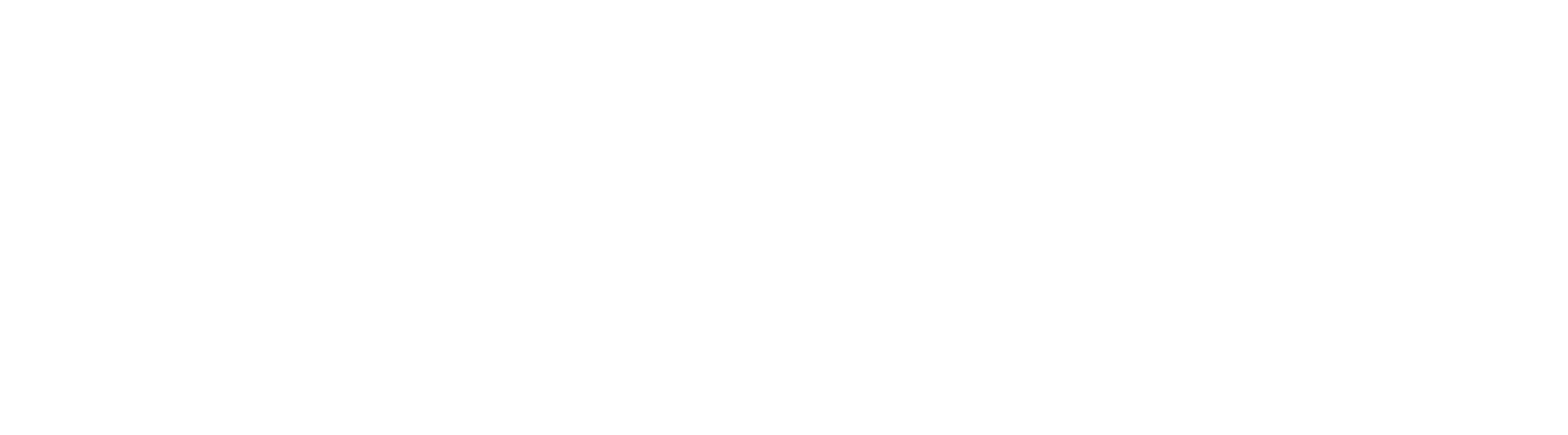 Network Waitaki