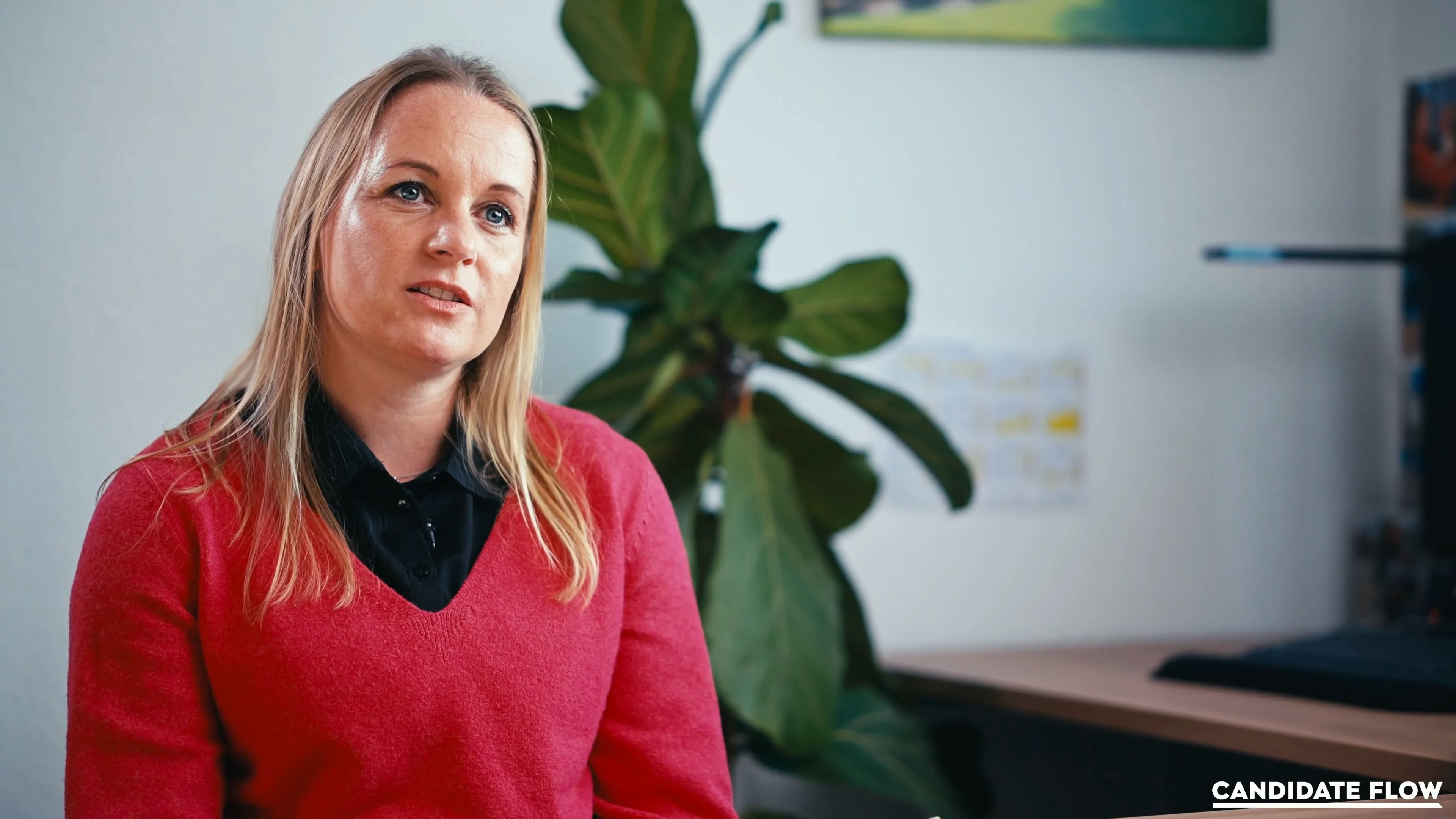 Candidate Flow® Kritik berechtigt?: Warum die Steinwerk Straßen- und Tiefbau GmbH auf modernes Recruiting setzt