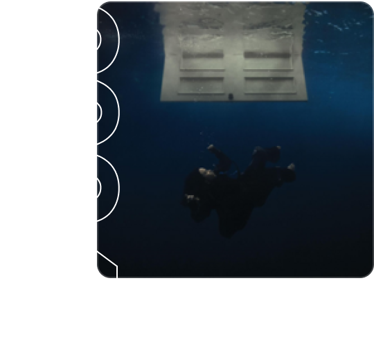 HIT ME HARD AND SOFT album art