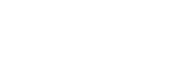 danco group company logo