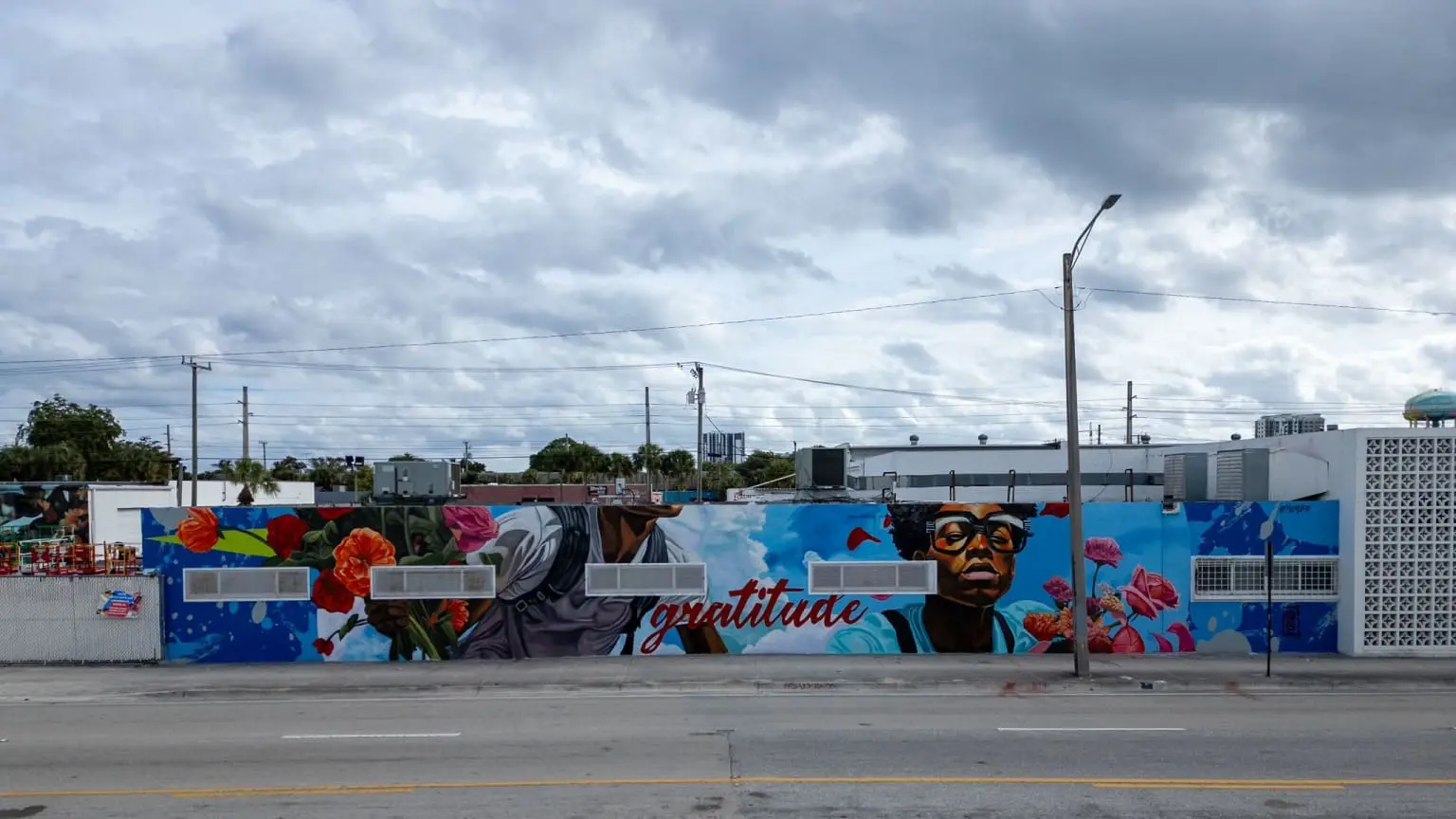The Impact of Murals: A Strategic Investment in Property Value and Community Identity