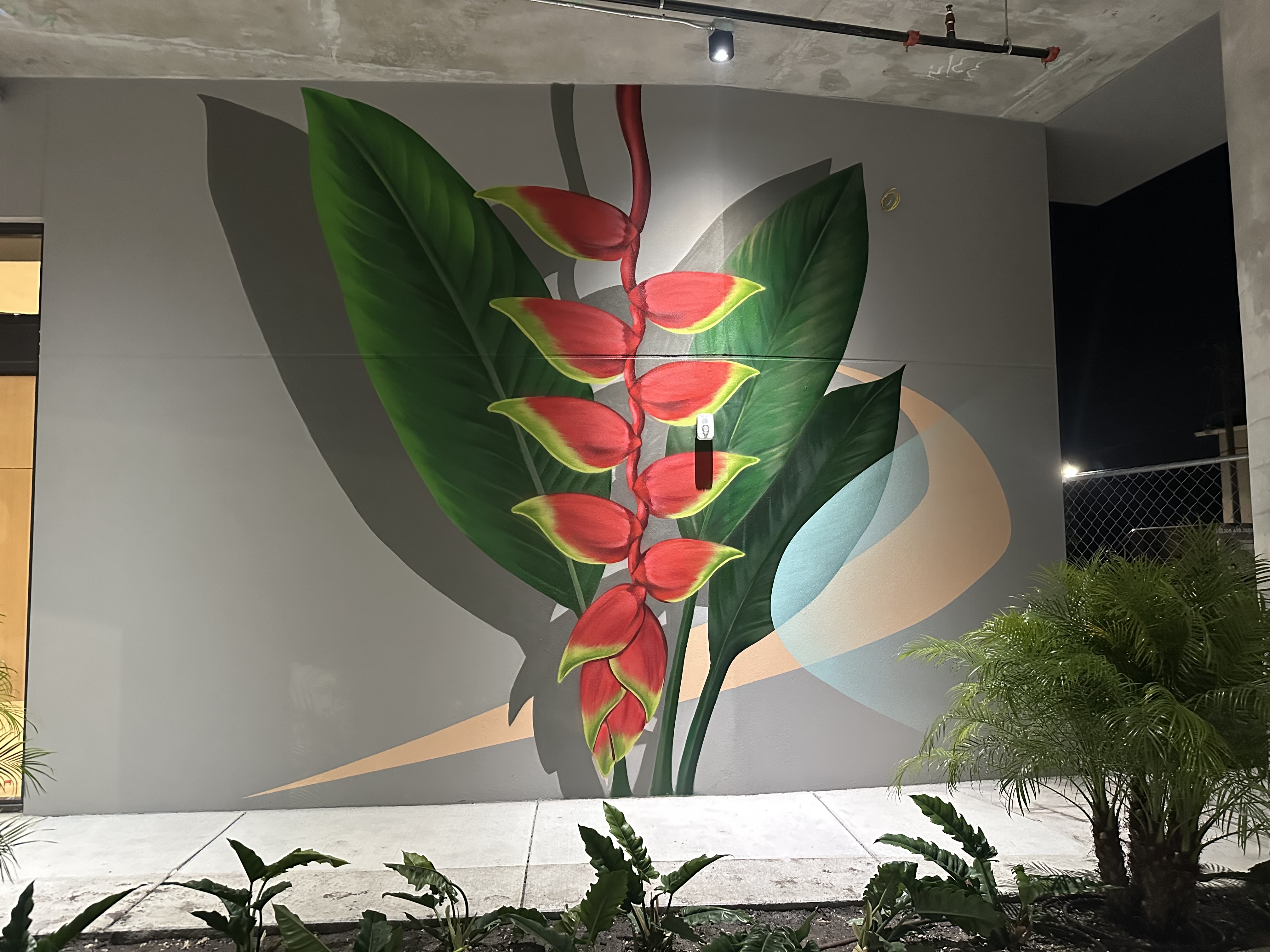 Muta Vision for Casa Princeton