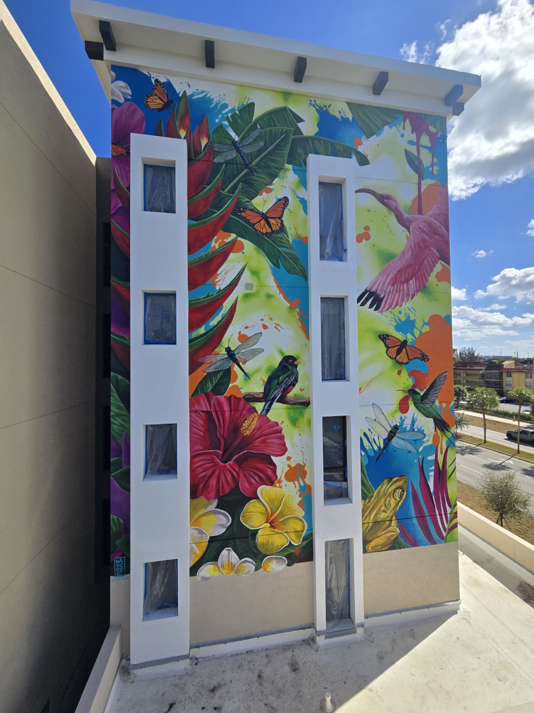 Nate Dee for Pinnacle at LaCabana