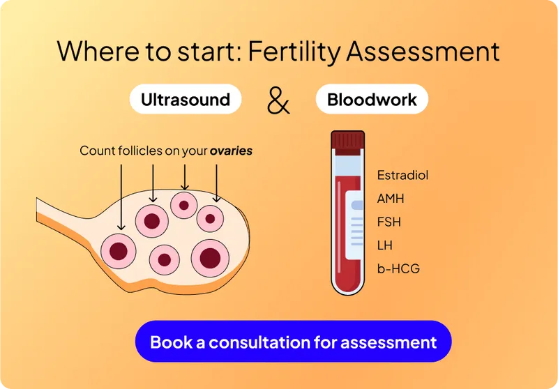 Where to start with fertility assessment