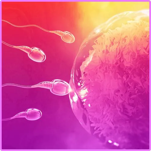 Sperm and egg during the IVF process