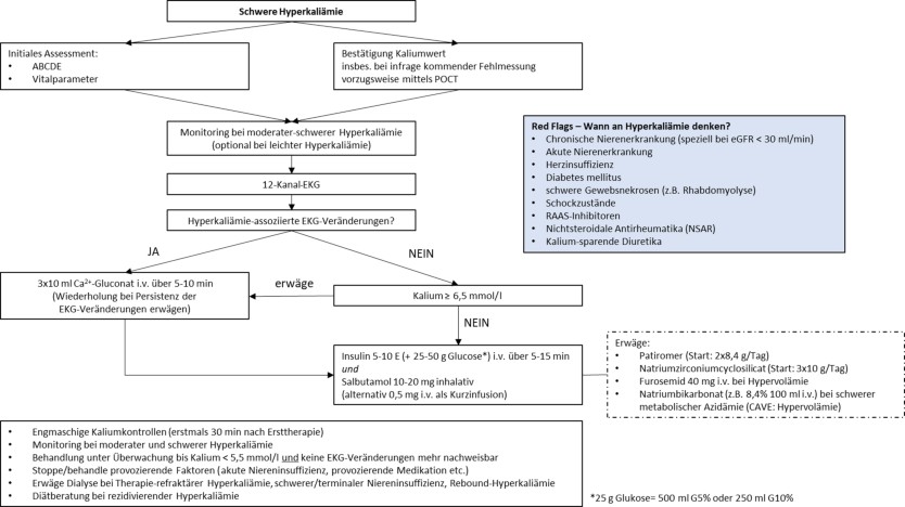 Abb. 5 Therapie der schweren Hyperkaliämie