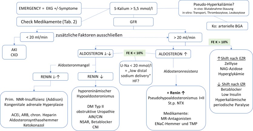 Abb. 4 Differenzialdiagnose der Hyperkaliämie. AKI akute Nierenerkrankung, CKD chronische Nierenerkrankung, HF Herzinsuffizienz, DM Diabetes mellitus, AIN/CIN akute/chronische interstitielle Nephritis, NTX Nierentransplantation, MR Mineralokortikoidrezeptor, TMP Trimethoprim, CNI Calcineurininhibitor, EZR/IZR extra-/intrazellulärer Raum, NAG normale Anionenlücke