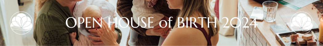 Uniek geboortevent van House of Birth in Rotterdam