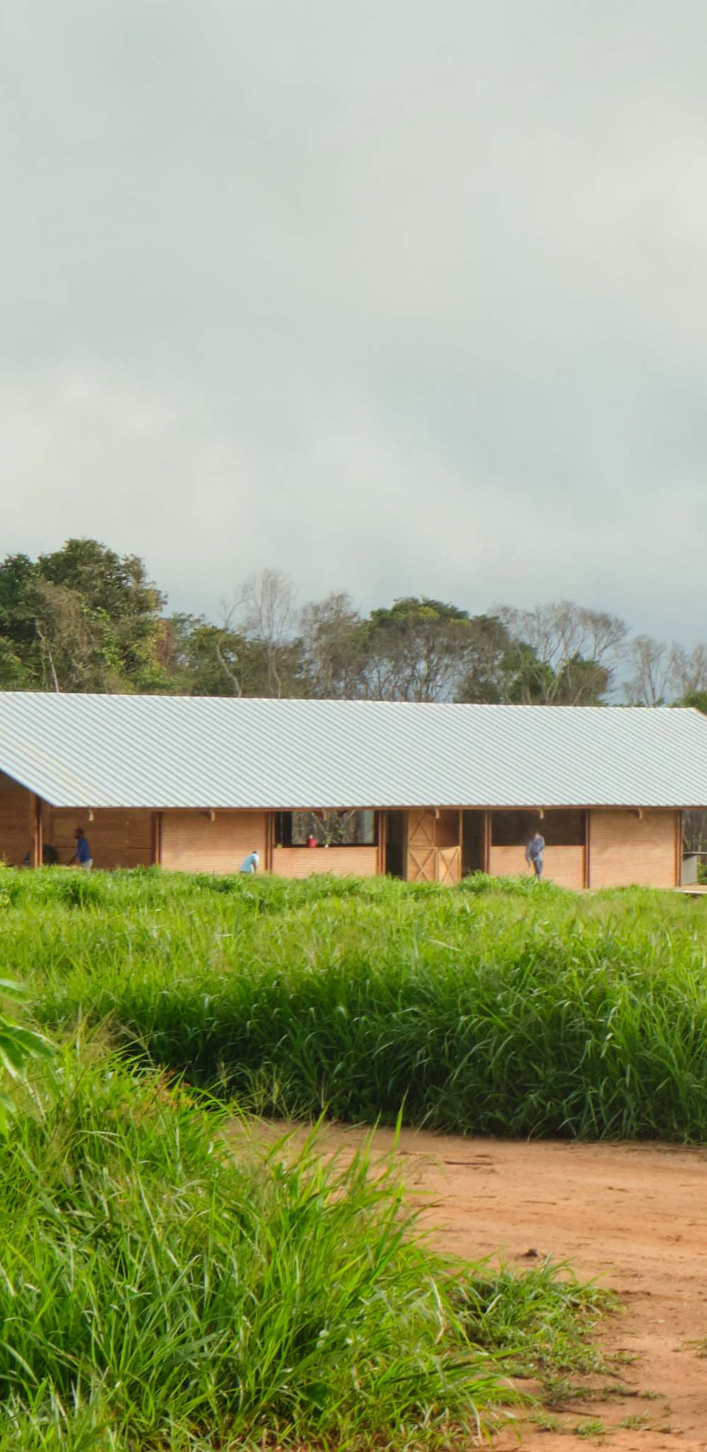 Xingu Canopies