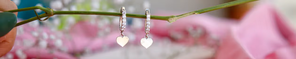 Jewelry product earrings