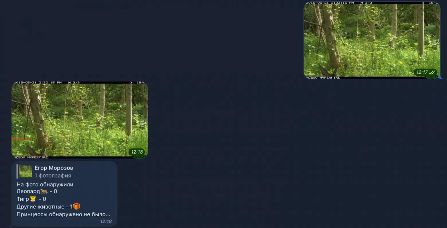 Работа телеграм-бота