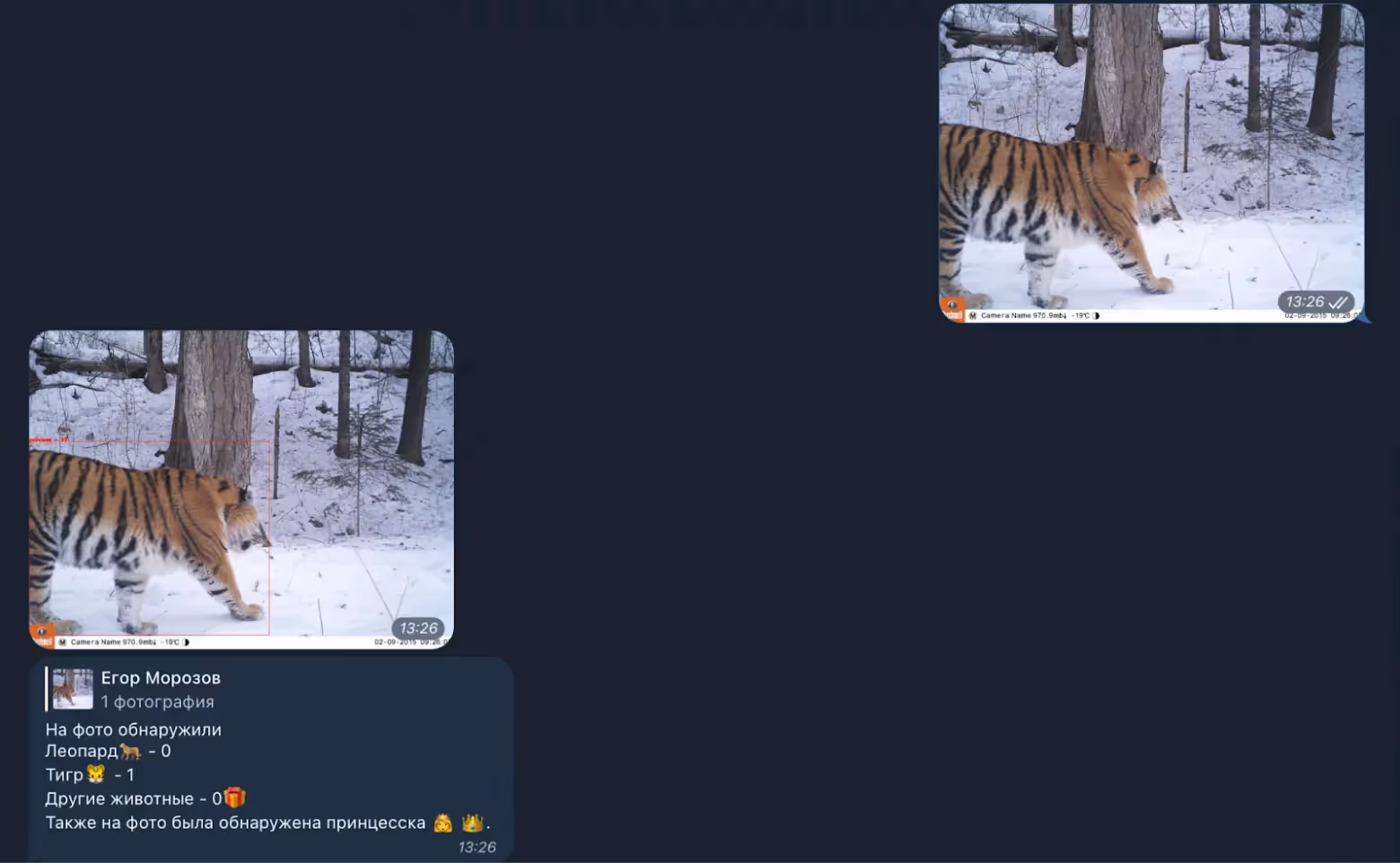 Распознавание животных нейросетью