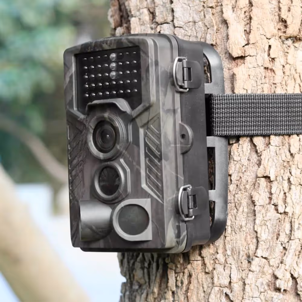 Computer Vision для распознавания животных