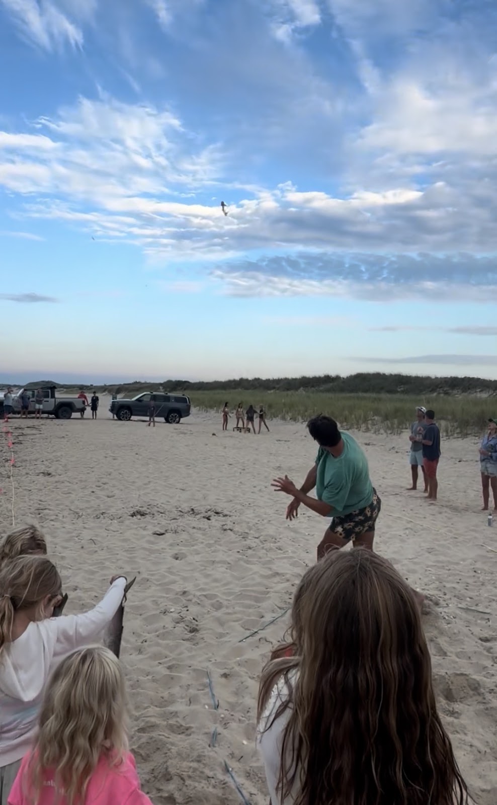 Mullet Toss in action