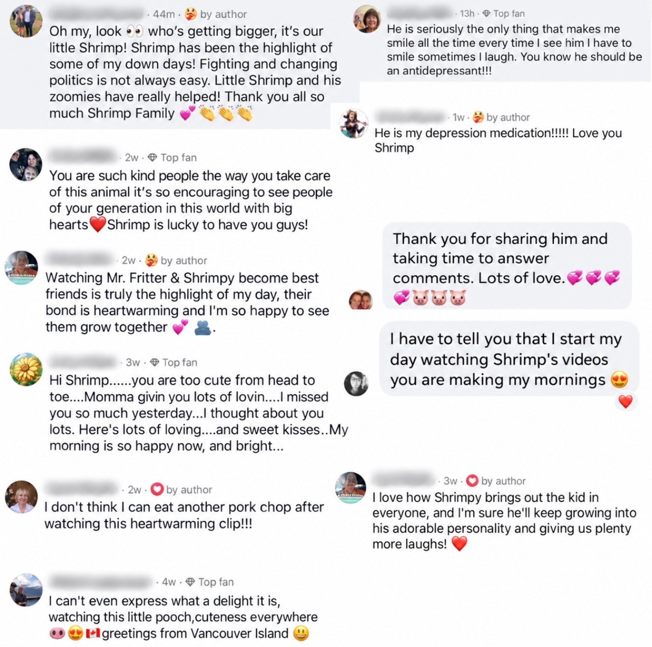 Shrimp's Instagram posts