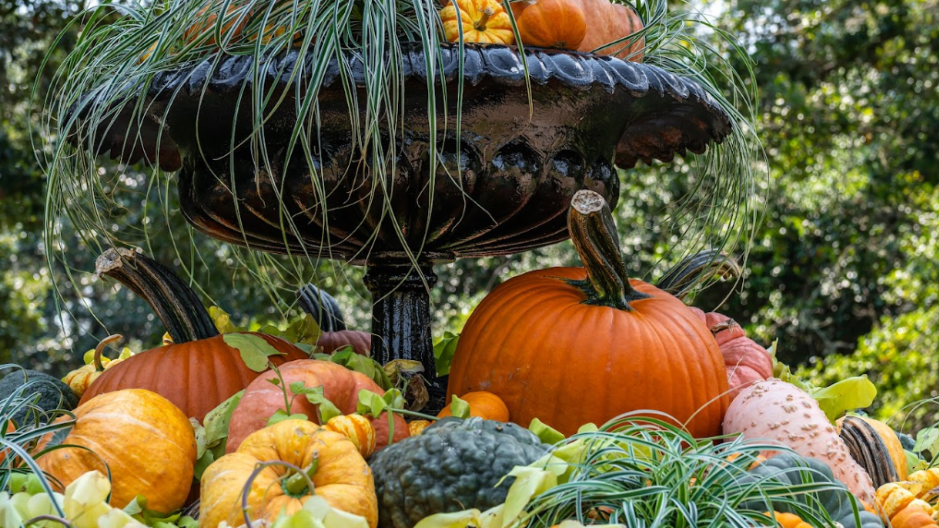 The Great Bellingrath Harvest