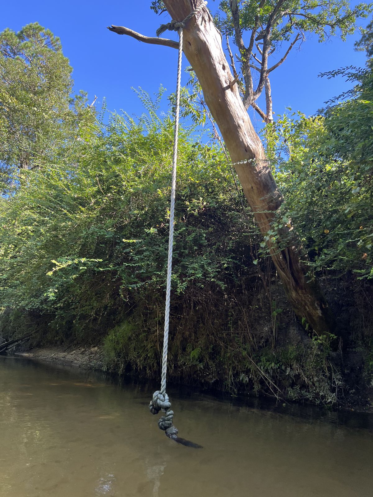 Old rope swing hanging over Fish River