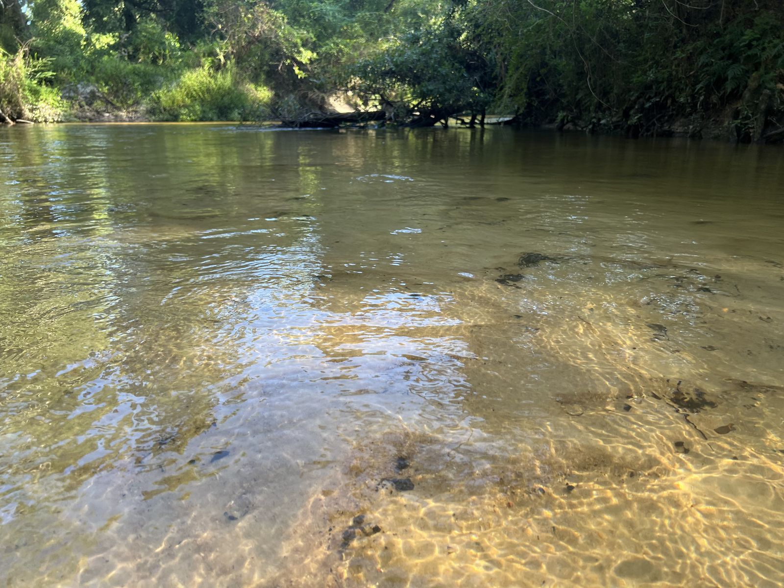 Sandy river bottom visible through the tannin-tinted water of Fish River