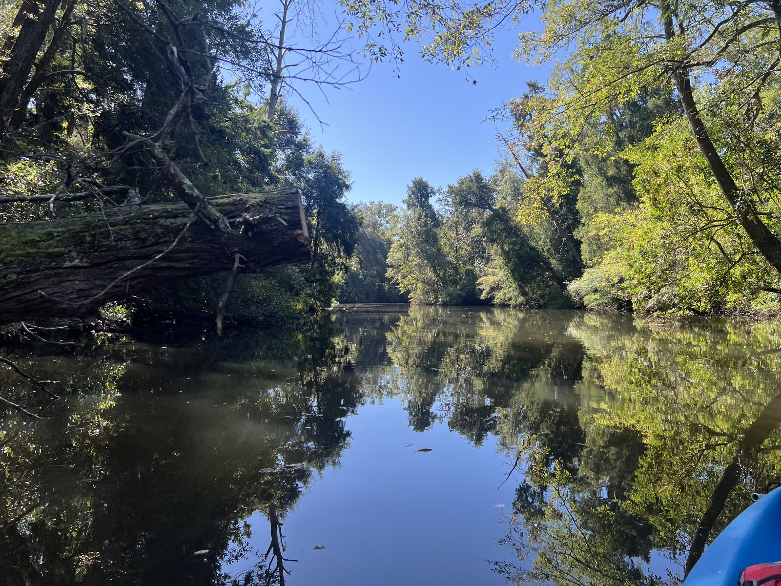 Fish River growing wider and deeper below Boone's Landing
