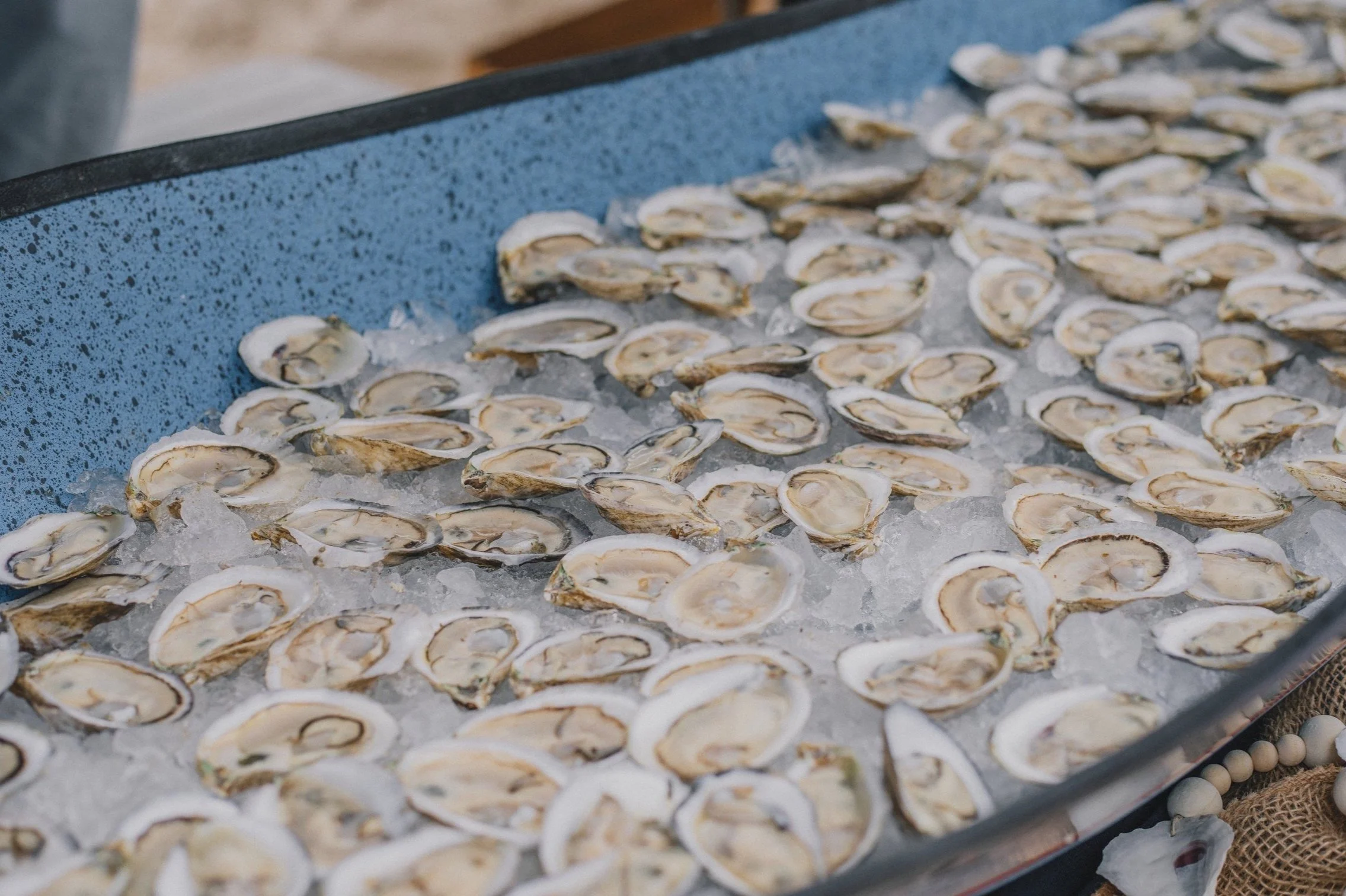 Experience the Oyster Festival