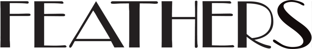 DISSH logo