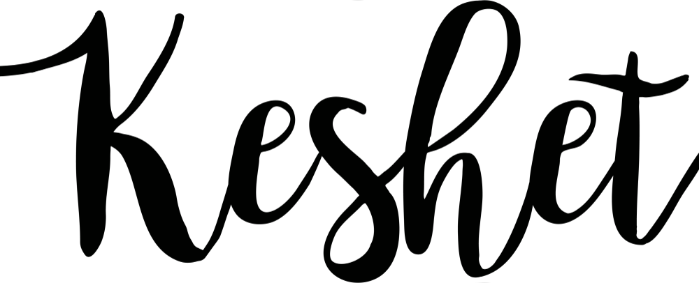 DISSH logo