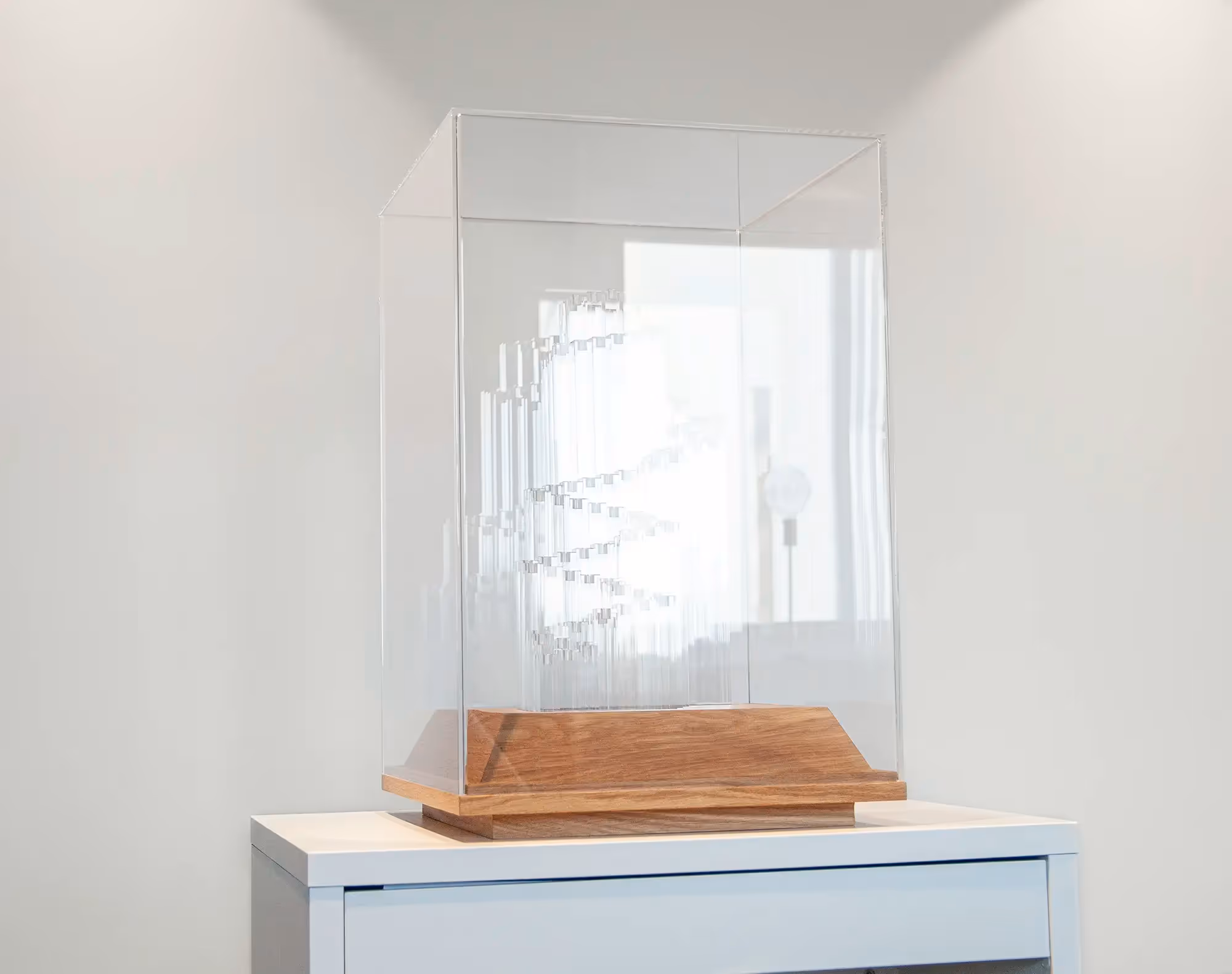 Stig model inside a transparent cover