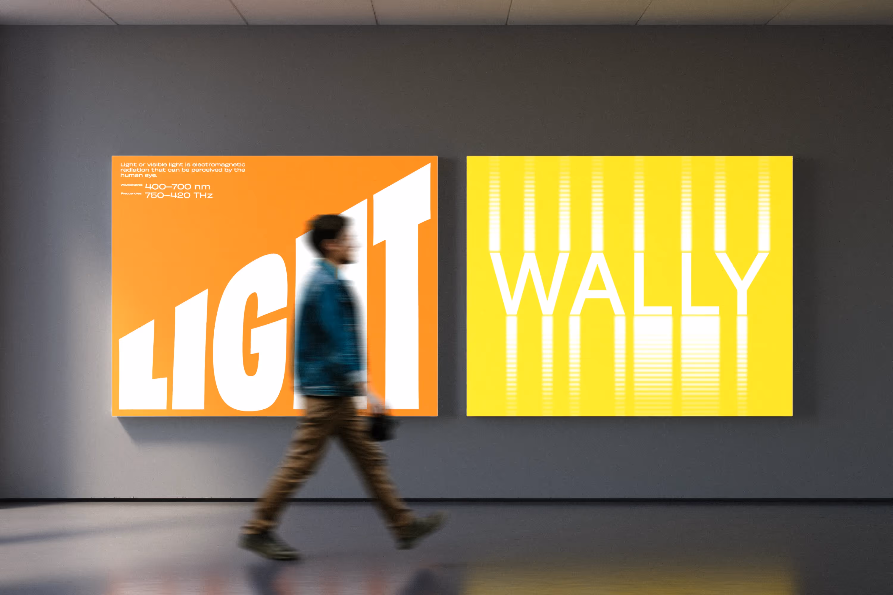 Wally lightbox in gallery