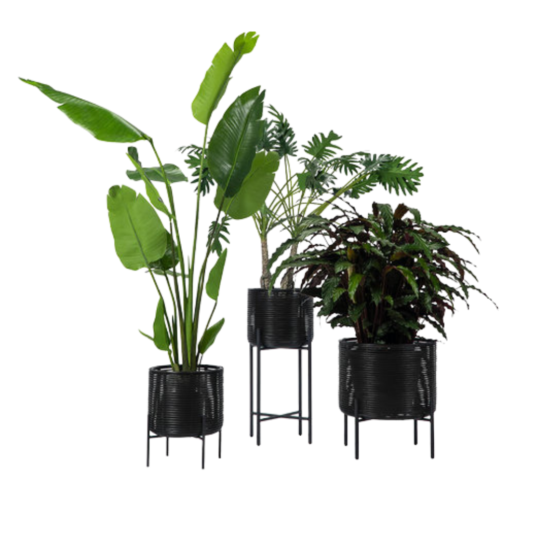 ivo plant stand large