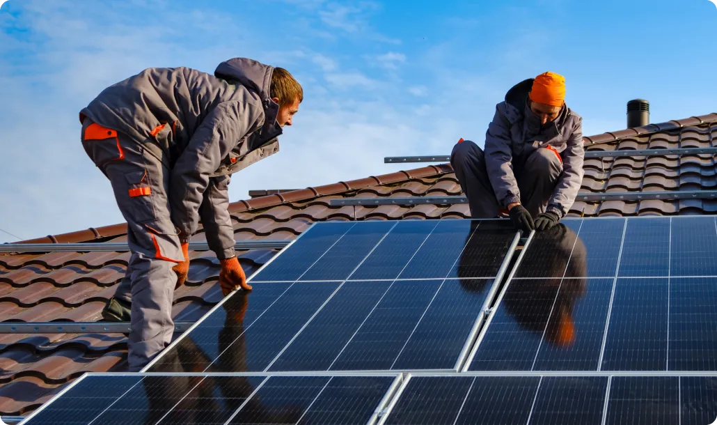 A nature image looking up at a beautiful spring forest with sun rays shining through tall green trees.