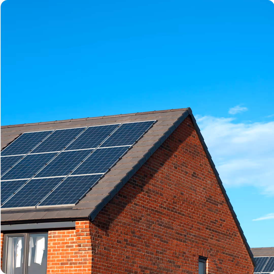 An image looking up to the canopy of tall trees, with a blue sky peaking through the leaves.