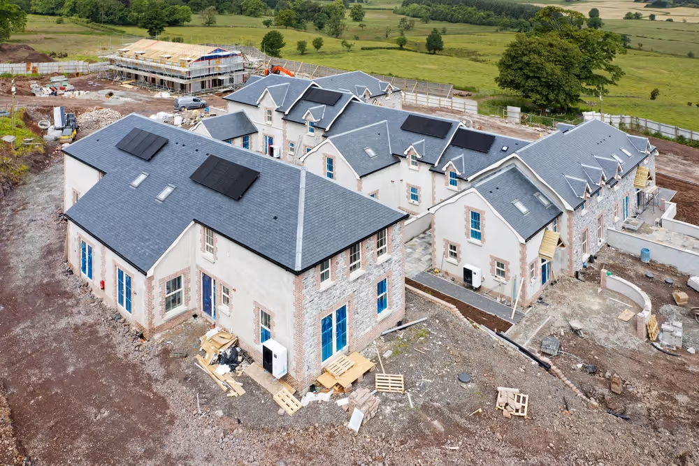 Meandering through a lush green forest, a pathway illustrates the potential for a greener, more sustainable future ahead.