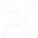 x icon