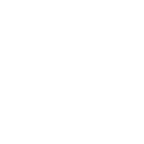 Sunnybrook Foundation