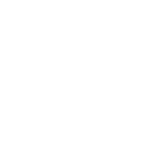 Skip
