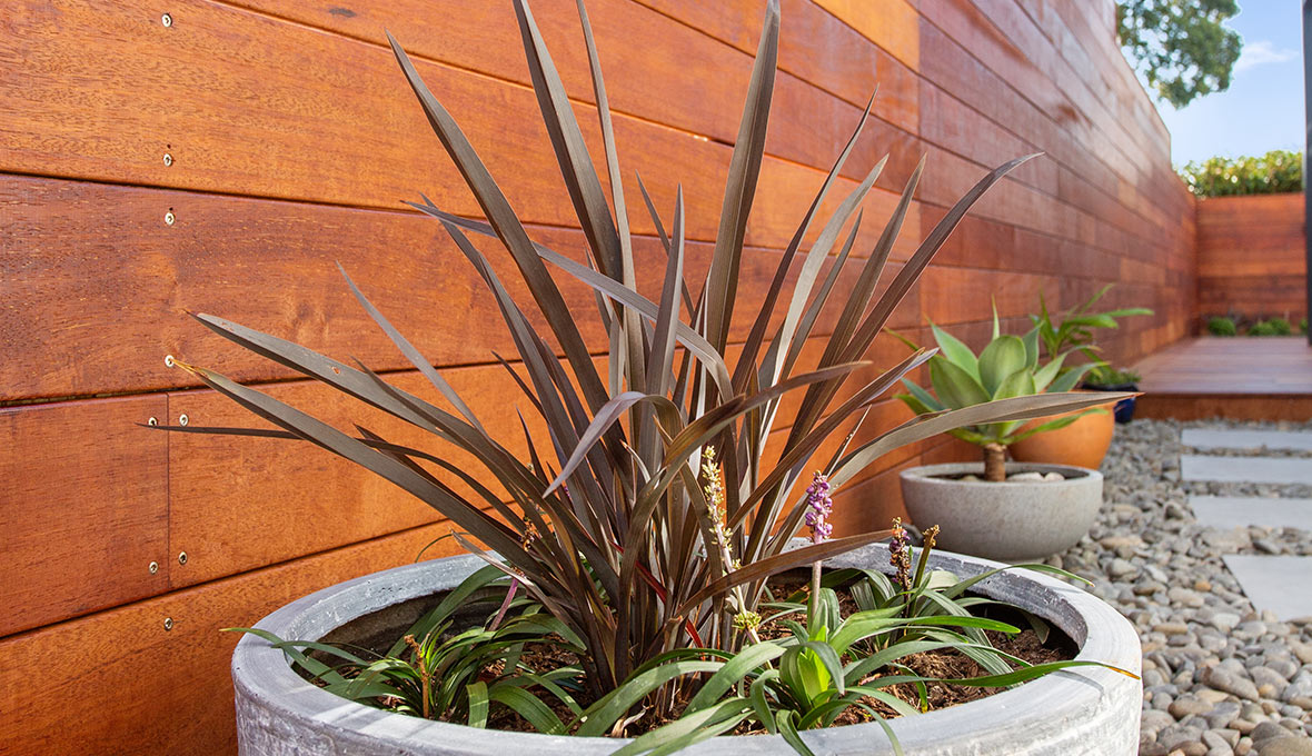 planting St Heliers