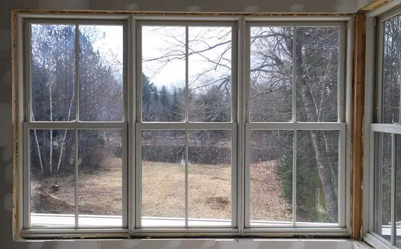 Large window overlooking bare winter trees and empty woodland clearing