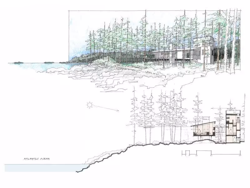 Architectural sketch of coastal building nestled among pine trees