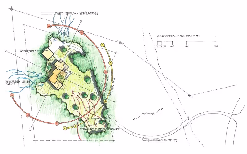Conceptual site diagram with buildings, trees, and landscape design sketch