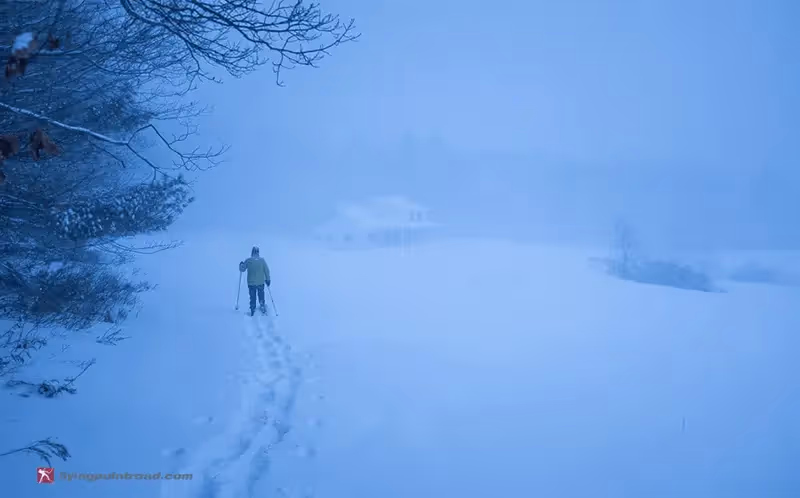 Lone skier trudging through misty, snow-covered winter landscape