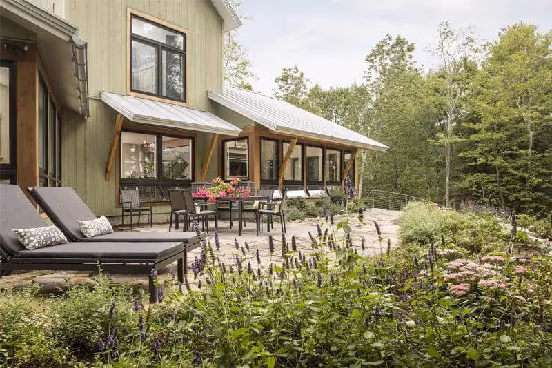 Modern green cabin with patio and blooming lavender garden surrounded by trees