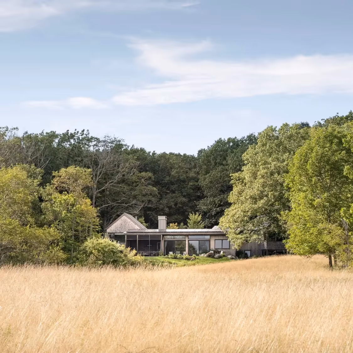 Modern house nestled in grassy field surrounded by lush green trees