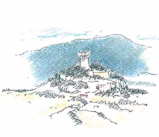 2013 Southern Tuscany